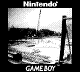 Nintendo Game Boy Camera photo - Construction site