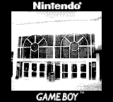 Nintendo Game Boy Camera photo - Mall entrance