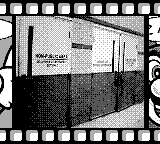 Nintendo Game Boy Camera photo - Doors