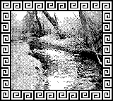 Nintendo Game Boy Camera photo - Stream