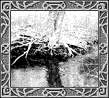 Nintendo Game Boy Camera photo - Tree by stream