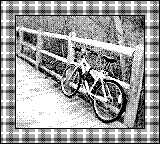 Nintendo Game Boy Camera photo - Bike on path