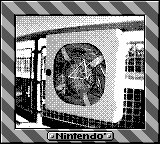 Nintendo Game Boy Camera photo - Life ring