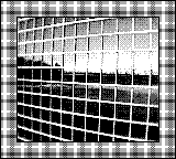 Nintendo Game Boy Camera photo - Lake