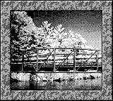 Nintendo Game Boy Camera photo - Bridge