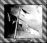 Nintendo Game Boy Camera photo - Flags