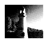 Nintendo Game Boy Camera photo - Light house