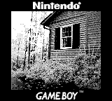 Nintendo Game Boy Camera photo - House