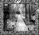 Nintendo Game Boy Camera photo - Boardwalk