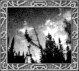 Nintendo Game Boy Camera photo - Trees