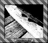 Nintendo Game Boy Camera photo - Deck