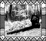 Nintendo Game Boy Camera photo - Leaf blower