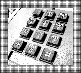 Nintendo Game Boy Camera photo - Touch-tone number pad