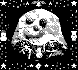 Nintendo Game Boy Camera photo - Cookie