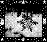 Nintendo Game Boy Camera photo - Snowflake
