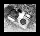 Nintendo Game Boy Camera photo - Old camera