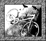 Nintendo Game Boy Camera photo - Bike