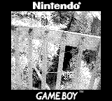 Nintendo Game Boy Camera photo - Railing