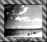Nintendo Game Boy Camera photo - Beach