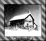 Nintendo Game Boy Camera photo - House