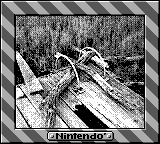 Nintendo Game Boy Camera photo - Dock
