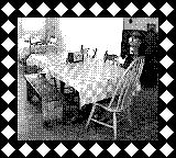 Nintendo Game Boy Camera photo - Table