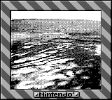 Nintendo Game Boy Camera photo - Shadows