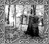 Nintendo Game Boy Camera photo - Trees