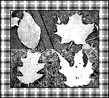 Nintendo Game Boy Camera photo - Leaves