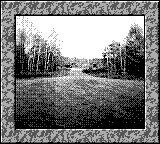 Nintendo Game Boy Camera photo - Trees