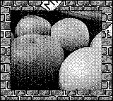 Nintendo Game Boy Camera photo - Fruit