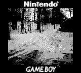 Nintendo Game Boy Camera photo - Snow