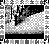 Nintendo Game Boy Camera photo - Leaf in snow