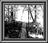 Nintendo Game Boy Camera photo - Boardwalk