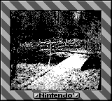 Nintendo Game Boy Camera photo - Bridge