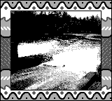 Nintendo Game Boy Camera photo - Dam