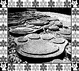 Nintendo Game Boy Camera photo - Path