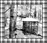 Nintendo Game Boy Camera photo - Bird feeder