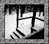 Nintendo Game Boy Camera photo - Deck