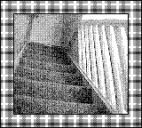 Nintendo Game Boy Camera photo - Stairs