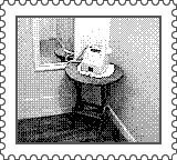 Nintendo Game Boy Camera photo - Phone