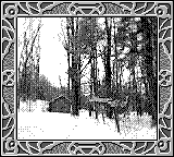 Nintendo Game Boy Camera photo - Trees