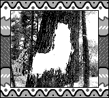 Nintendo Game Boy Camera photo - Snow on tree