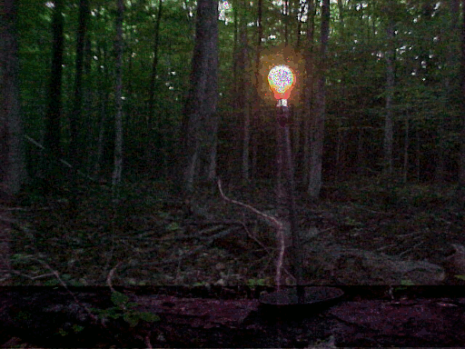 Glitched Lamp in the woods