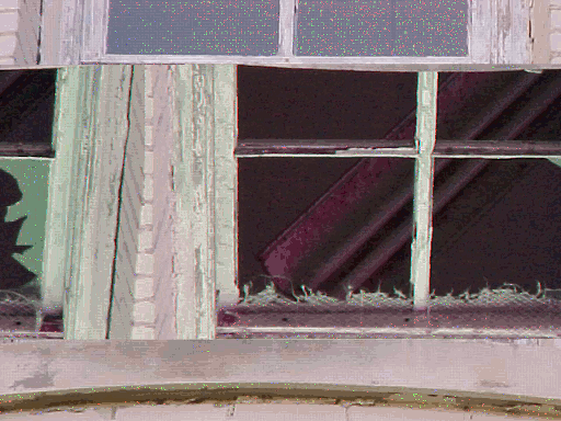 Glitched Window
