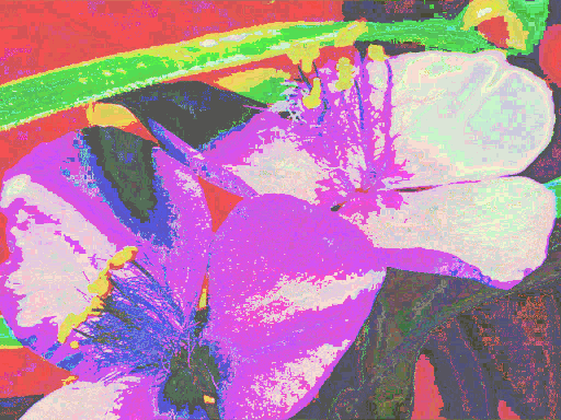 Glitched Flowers